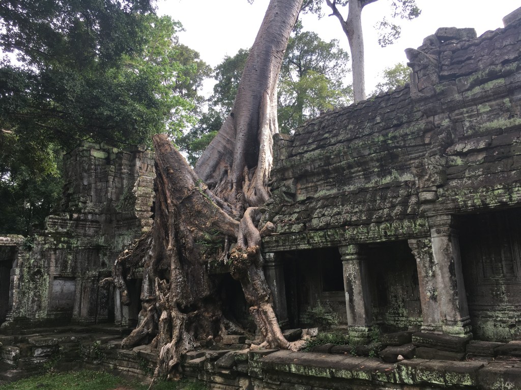 Ta Prohm
