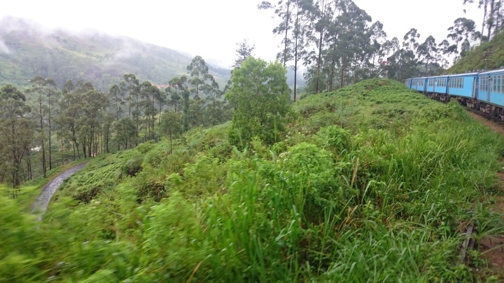 Vista desde el tren que une Kandy y Nanu Oya a través de las plantaciones de té